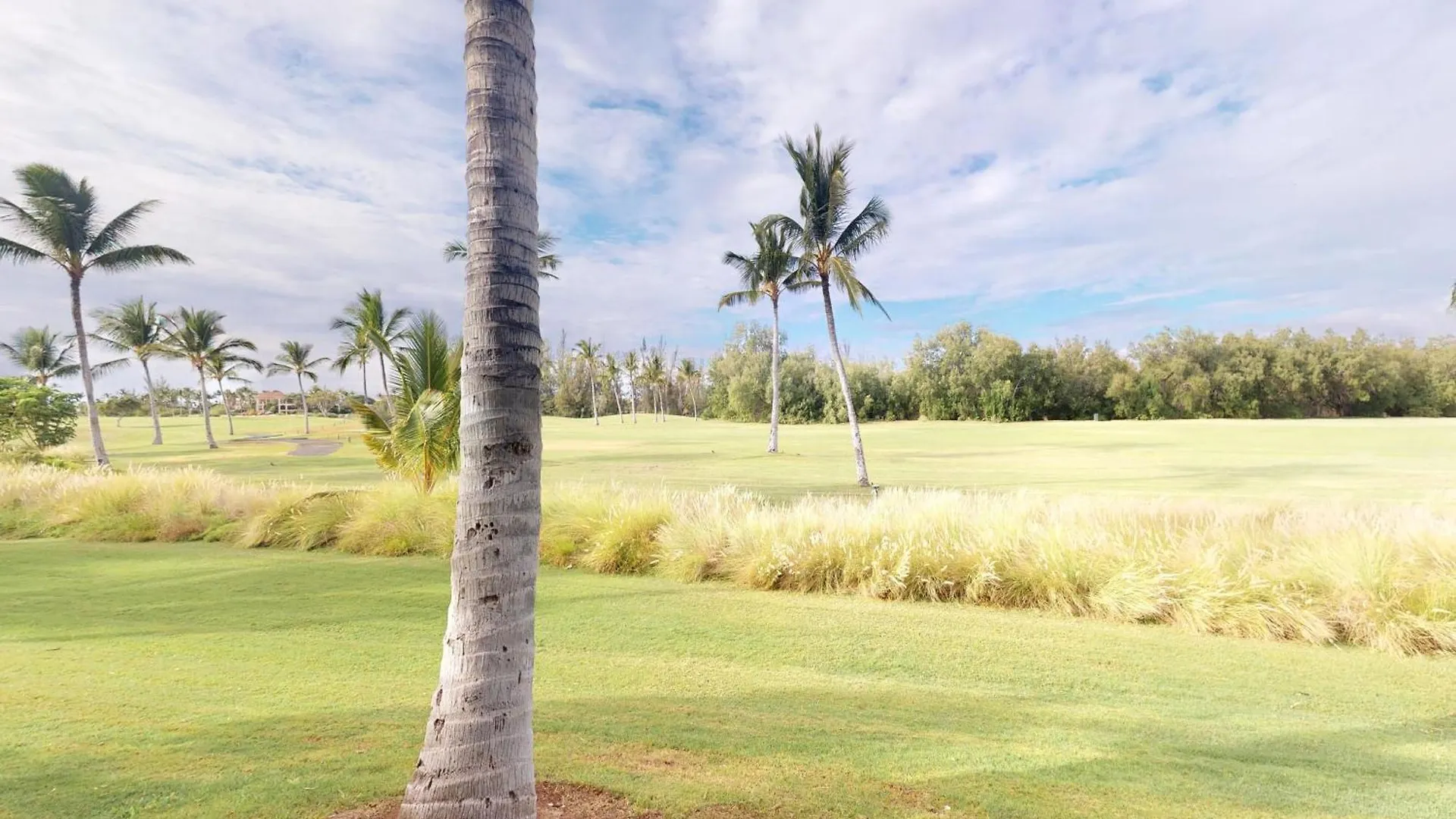 Waikoloa Fairway Villas N-5 美国